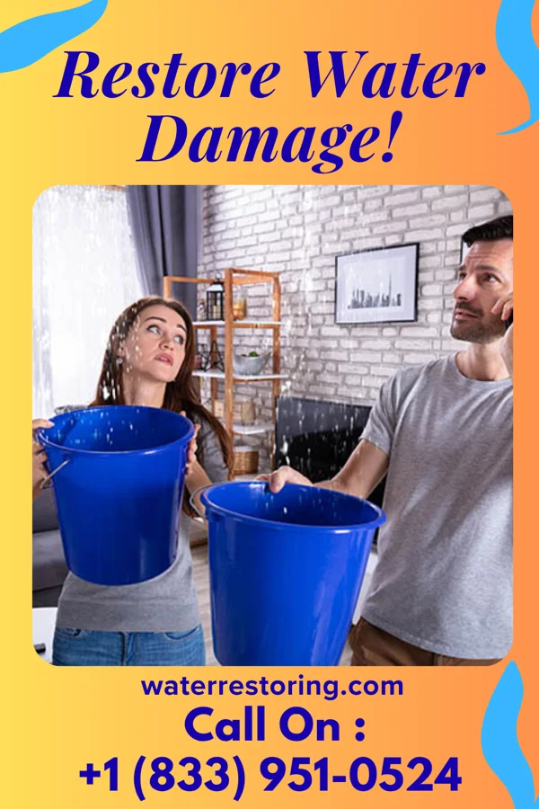 water restoration Precision Water Mitigation & Sons East Marion